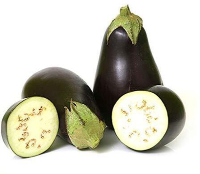 Qualtivate HYB-7A Bottle Brinjal - Brinjal Cluster Seed(300 per packet)