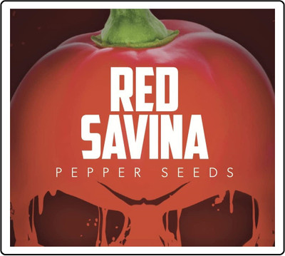 Biosnyg Organic Red Savina Habanero Pepper Seeds for Terrace Gardening-(400 Seeds) Seed(400 per packet)