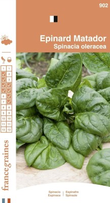 LPR SPINACH , PALAKH Seed(200 per packet)