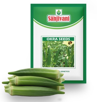 Sanjivani BHINDI or LADY FINGER, OKRA Seed(10 g)