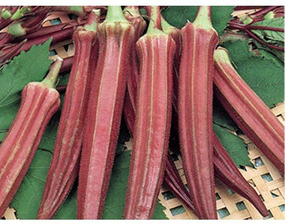 Quentova Okra RED Burgundy Great Heirloom Vegetable Seeds-ICRA-10A Seed(250 per packet)