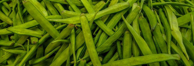 Avysa Cluster Beans (gawar,guar Phalli,goru chikkudu,kothavara) Seed(800 per packet)