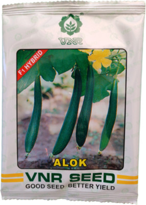 the green dotcom ALOK SEED F1 hybrid Seed(60 per packet)