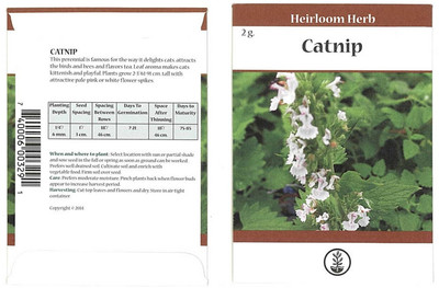 Biosnyg Catnip Herb Seeds[500 Seeds] Seed(500 per packet)