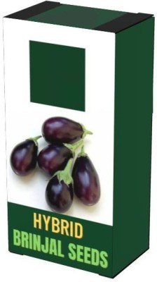 VibeX ® VLR-65 BRINJAL/BAINGAN SEEDS Seed(200 per packet)