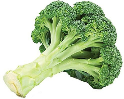 WILLVINE VMR -XIII Sakura F1 Calabrese Broccoli [25g] Seed(7500 per packet)