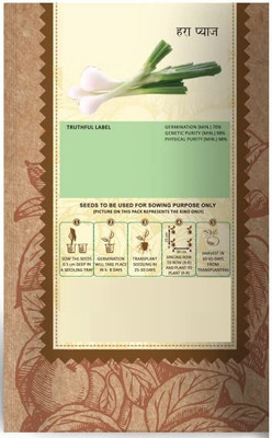 WILLVINE VVI-839 Leek or Onion Vegetable Seeds-3000 Seeds Seed(3000 per packet)
