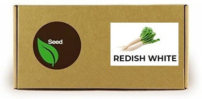 CYBEXIS Mooli/Redish White2000 Seeds Seed(2000 per packet)