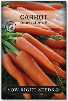 Qualtivate PUA-3A Imperator Carrot Seeds Seed(300 per packet)