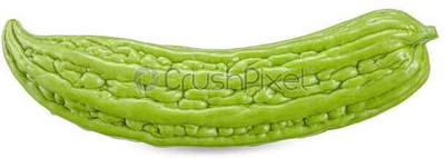 XOLDAA F1 BEST QUALITY BITTER GOURD SEEDS Seed(18 per packet)