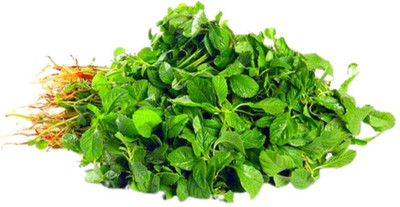 Qualtivate PUAS-7A Amaranth - Chawali Bhaji Seed(300 per packet)