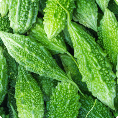 VNR Fresh VNR Bittergourd Hybrid Quality Vegetable Seed(100 per packet)