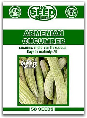 WILLVINE VXI-588 Armenian Cucumber Seeds Seed(200 per packet)