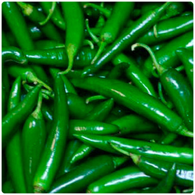 granthi Green Chili Seed(2500 per packet)