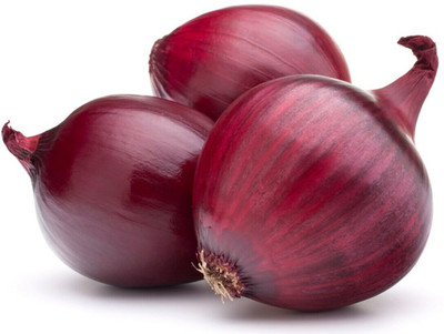 Avysa Dark Red Onion Seed(3000 per packet)