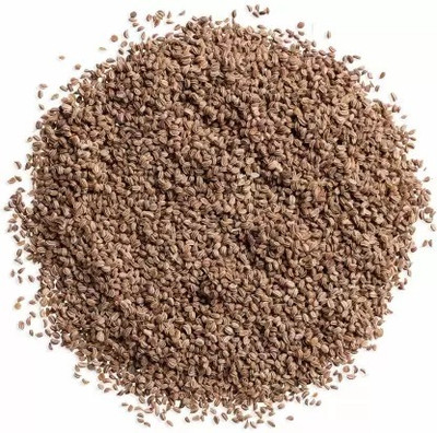 MAA Celery, Ajmod Seed(38 per packet)