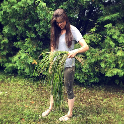KNESSiN Sweet Grass Seed(1250 per packet)