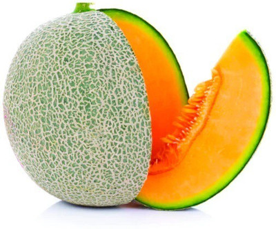 Quentova Muskmelon-VII-8I Seed(150 per packet)