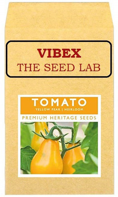 CYBEXIS Yellow Tomato Hybrid Seeds1000 Seeds Seed(1000 per packet)