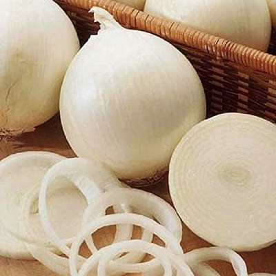 CYBEXIS VVI-4 - Onion White Queen Giant - (4500 Seeds) Seed(4500 per packet)