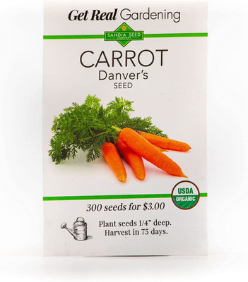CYBEXIS LXI-73 - Carrot Danver's - (750 Seeds) Seed(750 per packet)