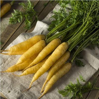 CYBEXIS Mix Carrot Seeds Easy Cultivate Grow Your Own4000 Seeds Seed(4000 per packet)