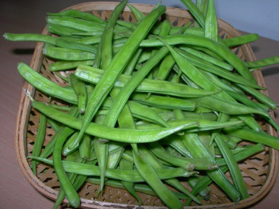 Quentova Guar Beans/Cluster Beans Seed(50 per packet)