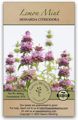 CYBEXIS VVI-21 - Lemon Mint - Non-GMO - (1350 Seeds) Seed(1350 per packet)