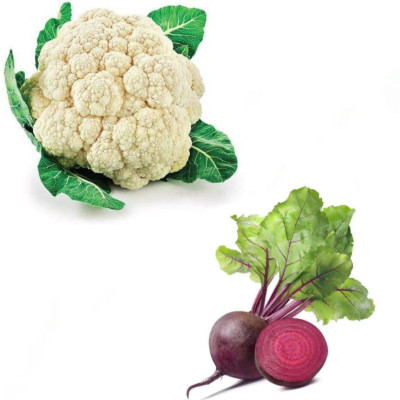 PSAgroinput Phool Gobhi-Beetroot (Chukundar)Vegetable Seed(100 g)