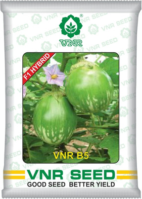 Arshiayat VNR-B5 F1 Hybrid Seed(10 g)