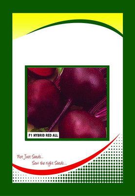 ActrovaX Early type Beetroot seed [20gm Seeds] Seed(20 per packet)