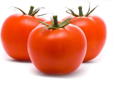 Quentova Tomatoe-XIL-2D Seed(250 per packet)