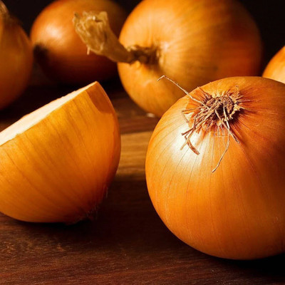 Quentova Yellow Onion Organic-VII-4A Seed(200 per packet)