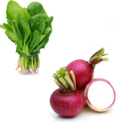 PSAgroinput spinach turnip vegetable Seed(100 g)