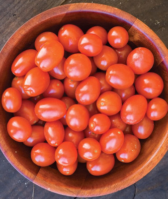 KNESSiN Heirloom Napa Grape Tomato Seeds For Growing - (4000 Seeds) Seed(4000 per packet)
