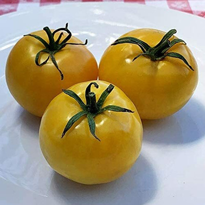 CYBEXIS Taxi Tomato Vegetable Seeds2000 Seeds Seed(2000 per packet)