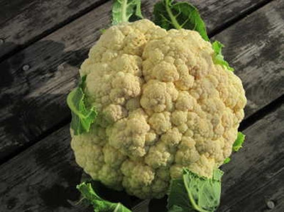 KNESSiN Cassius Cauliflower Seed(1250 per packet)