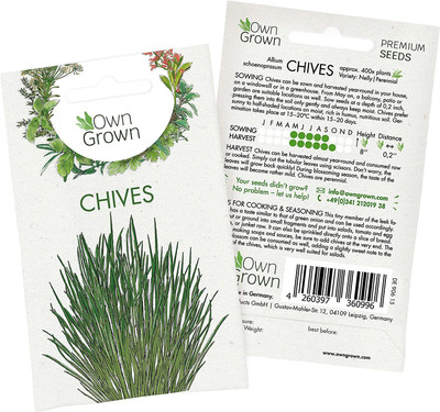 CYBEXIS Chive Seed(2800 per packet)