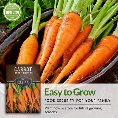 VibeX ® LXI-466 Little Fingers Carrot Seeds Seed(500 per packet)