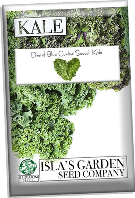 WILLVINE PUSA -II Blue Curled Scotch Vates Kale [2.5g] Seed(750 per packet)