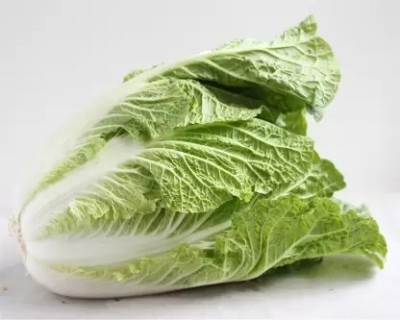 MAA Chinese Cabbage, Napa Seed(40 per packet)