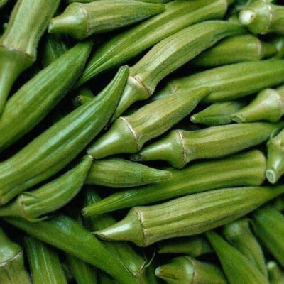 CYBEXIS Seeds of Vegetable Okra Clemsons Spineless1600 Seeds Seed(1600 per packet)