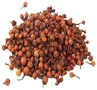 Aywal NAGKESAR - NAG KESAR - NAGKESHAR - NAG KESHAR - OCHROCARPUS LONGIFOLIUS Seed(40 per packet)