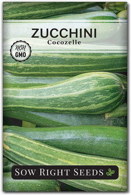 VibeX LX-81 - Cocozelle Zucchini - (75 Seeds) Seed(75 per packet)