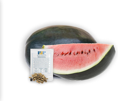 CYBEXIS XLR-91 - Black Diamond Watermelon - (450 Seeds) Seed(450 per packet)
