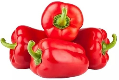 VASUDHA Shimla Mirch/Capsicum/Bell Pepper Seed(1000 per packet)