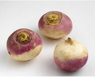 Quentova Turnip - Purple Top White Globe-GAV-22A Seed(250 per packet)