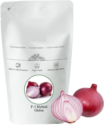 VibeX ® VXI-1238 Onion F-1 Hybrid Kalyani Seed(1000 per packet)