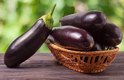 LPR brinjal Seed(30 per packet)