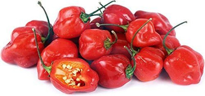 Biosnyg Heirloom Hot Habanero Pepper Seeds for Terrace Gardening-(4000 Seeds) Seed(4000 per packet)